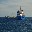 Vessel Image