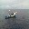 Vessel Image