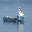 Vessel Image