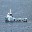 Vessel Image