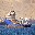 Vessel Image