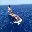 Vessel Image